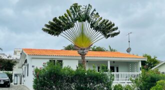 JAN THIEL/ Lagunisol